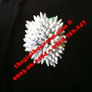 Shop Thế Giới Hoa Voan