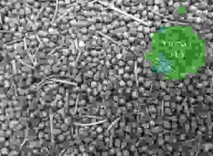 Thực Phẩm Dũng Hà – Công Ty TNHH Nông Sản Dũng Hà