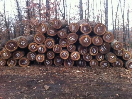 Gỗ Long Dương – Công Ty TNHH Thương Mại Và Dịch Vụ Long Dương Việt Nam