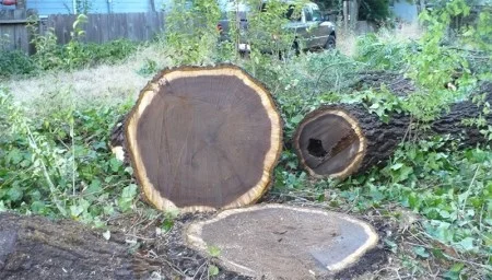 Gỗ Long Dương – Công Ty TNHH Thương Mại Và Dịch Vụ Long Dương Việt Nam