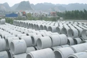 Công ty Cổ phần AMACCAO – Tập đoàn AMACCAO