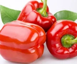 Nông Sản RSX Minh Anh – Công Ty TNHH RSX Minh Anh