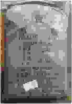 Công Ty TNHH TM DV XNK Lâm Minh Trí