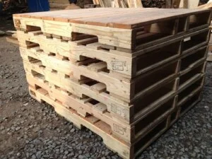 Công Ty TNHH Sản Xuất – Thương Mại – Dịch Vụ Pallet Toàn Thắng