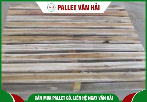 Chi Nhánh Bà Rịa Vũng Tàu  – Công Ty TNHH Một Thành Viên Pallet Văn Hải