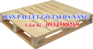 Công Ty TNHH MTV Sản Xuất Xuất Nhập Khẩu Xe Nâng Châu á