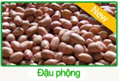 Công Ty TNHH Thương Mại – Dịch Vụ – Chế Biến Nông Sản Thành Phát