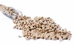 Công Ty TNHH Một Thành Viên Xuất Nhập Khẩu 2-9 Đắk Lắk