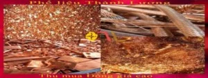Thu Mua Phế Liệu Thành Lương