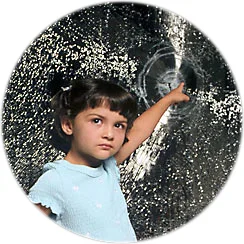 Công Ty TNHH Phim Năm Sao