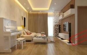 Công Ty TNHH Quốc Tế IDS Việt Nam