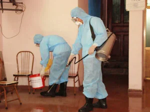 Công ty TNHH MTV Bảo Quản Gỗ Miền Trung