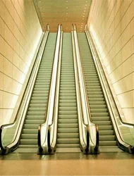 Công Ty TNHH Thang Máy Thế Giới An Toàn