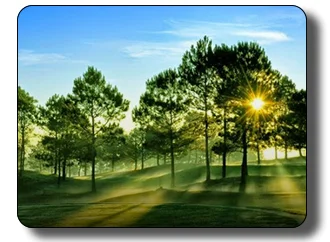 Môi Trường Tài Nguyên Việt Nam – Công Ty Cổ Phần Môi Trường Tài Nguyên Việt Nam (VINEC)