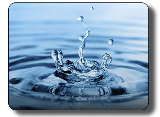 Môi Trường Tài Nguyên Việt Nam – Công Ty Cổ Phần Môi Trường Tài Nguyên Việt Nam (VINEC)