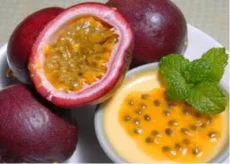Nông Sản Galaxy Agro – Công Ty TNHH Galaxy Agro