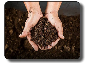 Môi Trường Tài Nguyên Việt Nam – Công Ty Cổ Phần Môi Trường Tài Nguyên Việt Nam (VINEC)