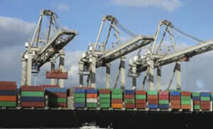 Công Ty TNHH Dịch Vụ Hàng Hóa Con Thoi