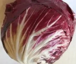 Nông Sản RSX Minh Anh – Công Ty TNHH RSX Minh Anh