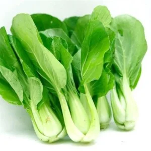 Hợp Tác Xã Sản Xuất Và Tiêu Thụ Rau An Toàn Bắc Hồng