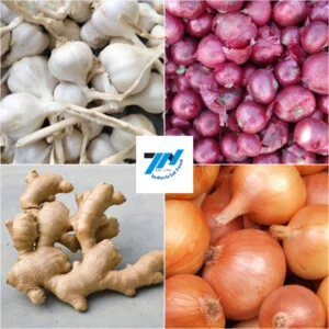 Thực Phẩm Thành Nam – Công Ty Cổ Phần Nông Sản Thực Phẩm Thành Nam