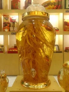 Rượu Quý Việt Nam