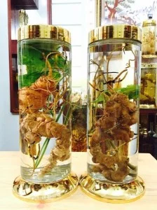 Rượu Quý Việt Nam