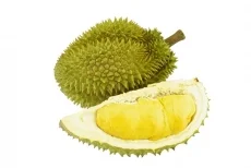 Nông Sản Galaxy Agro – Công Ty TNHH Galaxy Agro