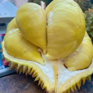 Nông Sản JIAMINH – Công Ty TNHH Xuất Nhập Khẩu JIAMINH