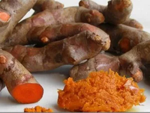 Chi Nhánh Tại Đắk Lắk – Công Ty Cổ Phần Nông Lâm Nghiệp Đức Phú