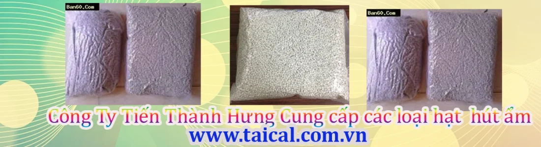 Công Ty TNHH Tiến Thành Hưng