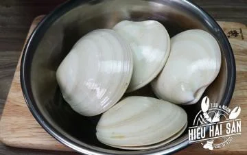 Hiếu Hải Sản – Công Ty TNHH Hiếu Hải Sản