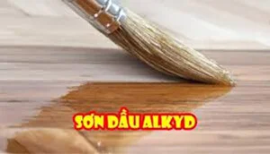 Sơn Avina – Công Ty TNHH Xuất Nhập Khẩu Avina
