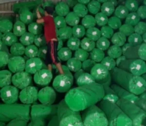 Công Ty TNHH MTV Thương Mại Và Dịch Vụ Ngọc Tấn Phát
