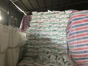 Tinh Bột Sắn Neo Nam Việt – Công Ty TNHH Neo Nam Việt