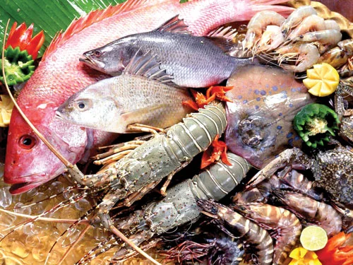 Thực Phẩm Số Một Đồng Nai – Công Ty TNHH Thực Phẩm Số Một Đồng Nai