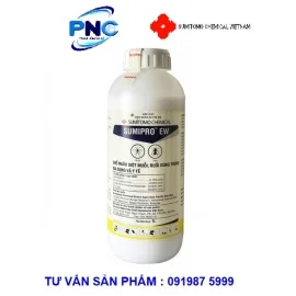 Công Ty TNHH Tư Vấn Phát Triển Phương Nam