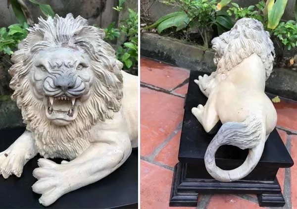 Công Ty TNHH Ngô Thời Đại