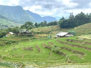 Authentic Hà Nội Travel