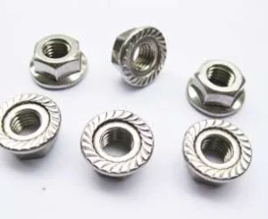 Công Ty TNHH Thương Mại Xuất Nhập Khẩu Chấn Việt