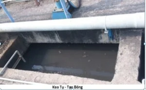 Môi Trường Xuyên Việt – Công Ty TNHH Môi Trường Xuyên Việt