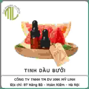 Công Ty TNHH Thương Mại Dịch Vụ Xuất Nhập Khẩu Mỹ Linh