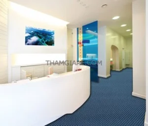 Thảm Trải Sàn Hanoi Carpet – Công Ty Cổ Phần Xuất Nhập Khẩu ANDO