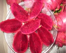 Nông Sản Galaxy Agro – Công Ty TNHH Galaxy Agro