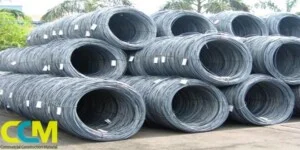 Công Ty TNHH Thương Mại Dịch Vụ CCM