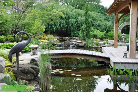 Dịch Vụ Cây Xanh VinaTrees – Công Ty Cổ Phần Đầu Tư Xây Dựng Và Môi Trường VinaTrees