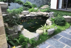 Tiểu Cảnh Phú Tài Đạt – Công Ty TNHH Cảnh Quan Sân Vườn Phú Tài Đạt