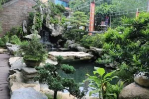 Tiểu Cảnh Phú Tài Đạt – Công Ty TNHH Cảnh Quan Sân Vườn Phú Tài Đạt