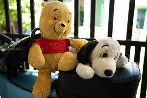 Gấu Bông Kiều Phương – Công Ty TNHH Sản Xuất Gia Công Gấu Bông Kiều Phương
