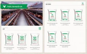 Chi Nhánh Đại Lý Thức Ăn Thủy Sản Chăn Nuôi CP Anh Nghĩa Quảng Nam